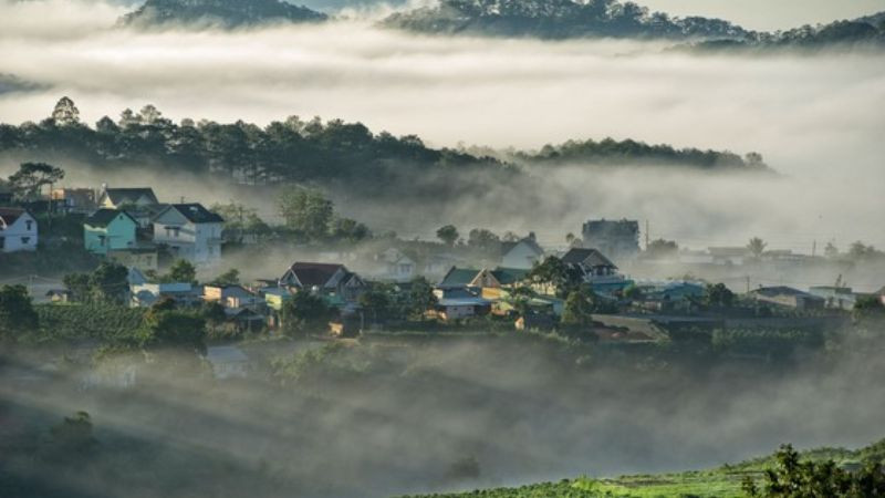 Hình ảnh Đà Lạt sương mù: con đường quanh co trong buổi sớm