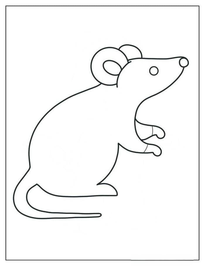 Hình ảnh đơn giản để tô màu chuột hamster cho bé mới tập tô