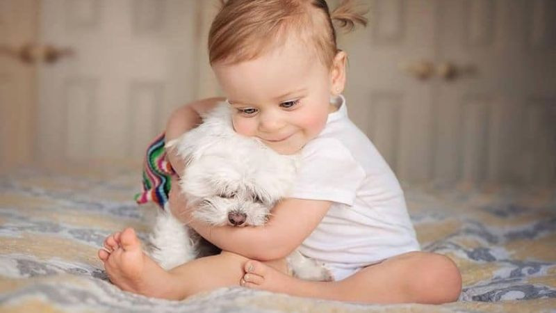 Hình ảnh em bé đáng yêu ôm chú chó lớn