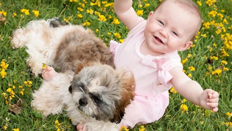 Hình ảnh em bé với chú chó