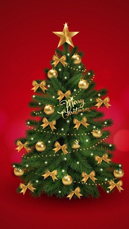 Hình ảnh Giáng sinh cute cận cảnh đỉnh cây thông với ngôi sao