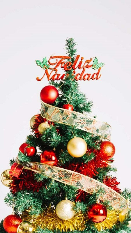 Hình ảnh Giáng sinh cute cây thông trang trí tối giản