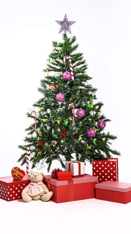 Hình ảnh Giáng sinh cute với cây thông được trang trí lộng lẫy và quà dưới gốc