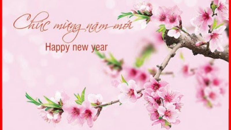 Tuyển Chọn Hình Ảnh Chúc Mừng Năm Mới Ý Nghĩa Hình ảnh hoa đào nở rộ ngày Tết