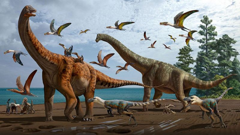 Hình ảnh kích thước ấn tượng của Brachiosaurus