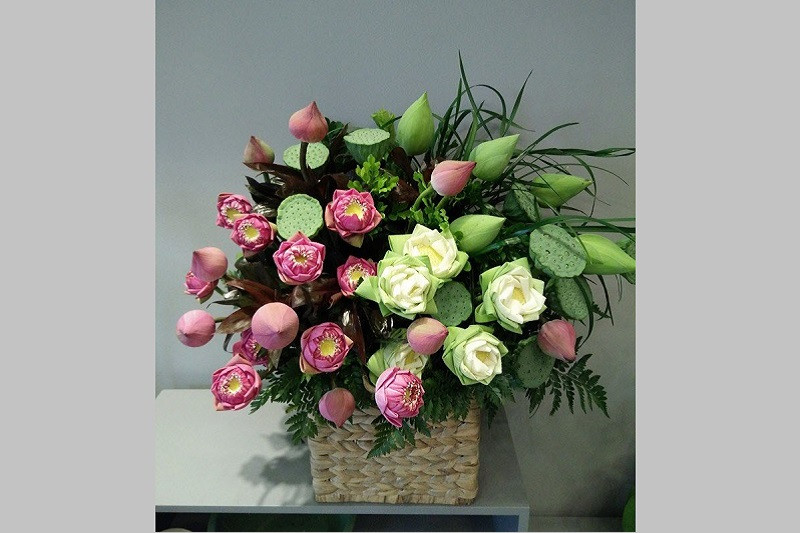 Hình ảnh lá sen xanh và giọt nước