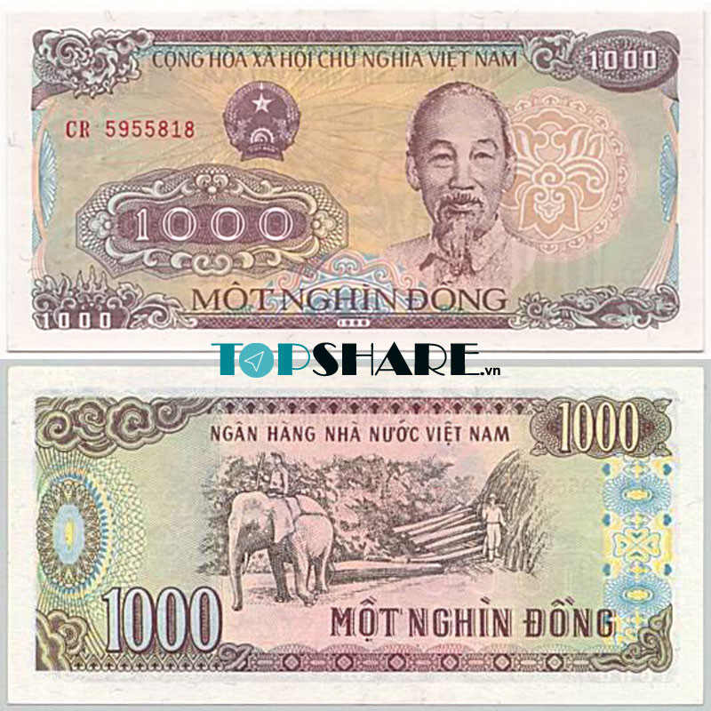 Hình ảnh mặt sau tờ tiền giấy 1000 VNĐ Việt Nam có in hình rừng Tây Nguyên