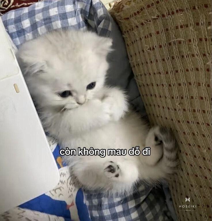 Hình ảnh meme buồn diễn tả cảm giác mệt mỏi và chán nản