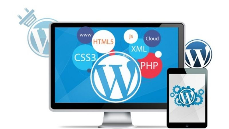 Hình ảnh minh họa mô hình Shared Hosting, nơi nhiều website chia sẻ tài nguyên máy chủ khi sử dụng WordPress, tiềm ẩn ảnh hưởng tốc độ