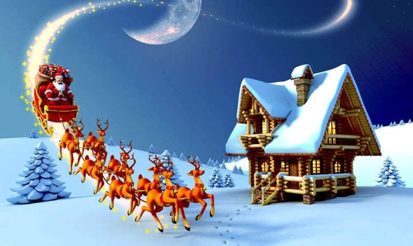 Hình ảnh một bông hoa trạng nguyên đỏ thắm làm nền cho không khí Giáng sinh