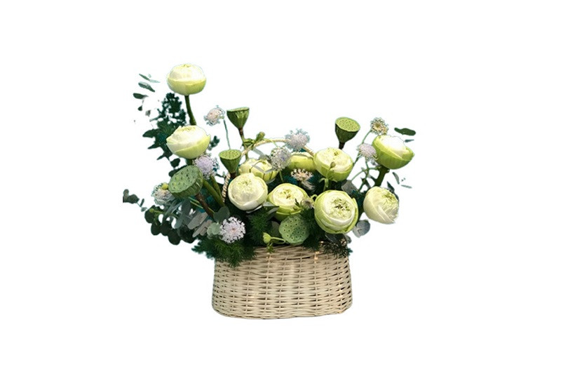 Hình ảnh một bông sen hồng đang nở