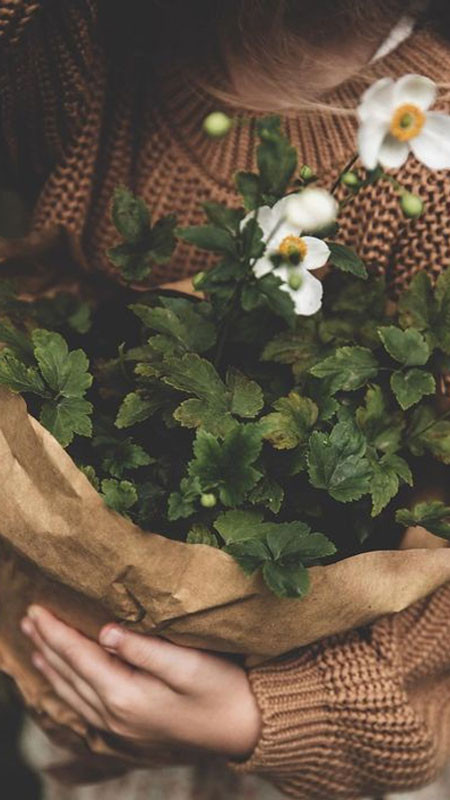 Hình ảnh nghệ thuật thể hiện sự tĩnh lặng và nỗi buồn cô đơn