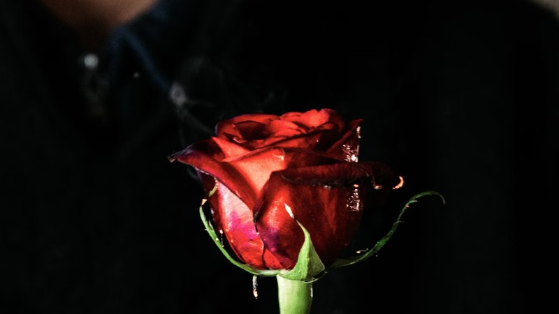 Hình ảnh người đàn ông ngồi cô đơn trên bậc thang trong bức ảnh thất tình