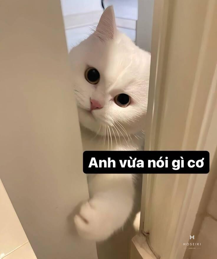 Hình ảnh người ôm đầu thất vọng, biểu cảm bất lực khi mọi việc không như ý