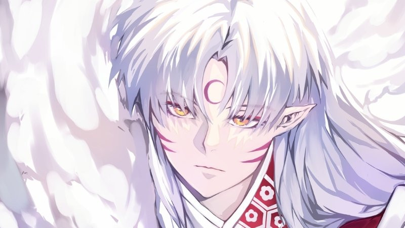 Hình ảnh Sesshomaru trong một tư thế chiến đấu uyển chuyển