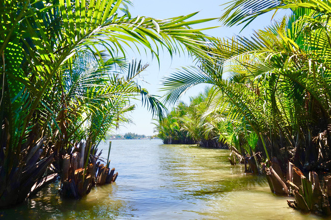 Hình ảnh sông nước miền Tây giữa hai hàng dừa xanh mướt, thể hiện sự trù phú của vùng đất