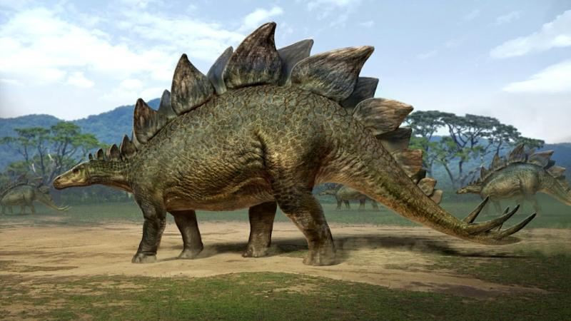Hình ảnh Stegosaurus trong môi trường sống cổ xưa