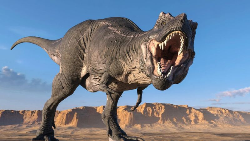 Hình ảnh T-Rex săn mồi trong rừng rậm