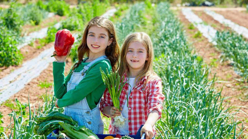 Hình ảnh thể hiện mối quan hệ giữa Little Homie và người lớn hơn, biểu trưng cho sự quan tâm và dẫn dắt.