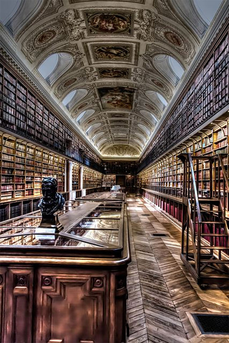 Hình ảnh thư viện được trang hoàng lộng lẫy
