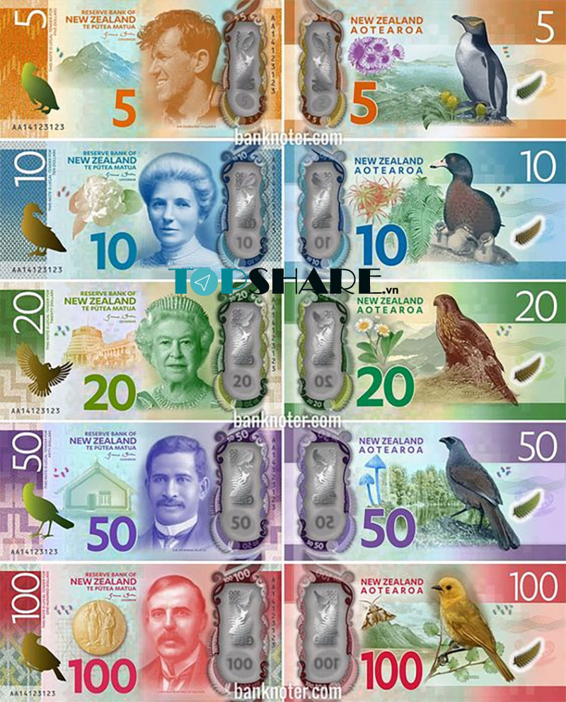 Hình ảnh tiền Dola New Zealand