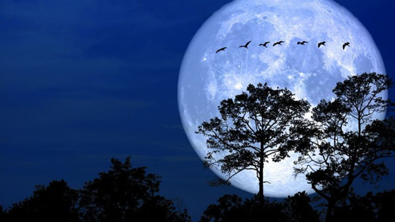 Hình ảnh trăng tròn ban đêm trên bầu trời