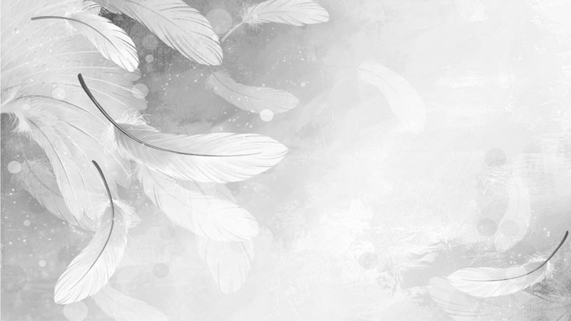 Hình ảnh trắng xám nghệ thuật về kiến trúc