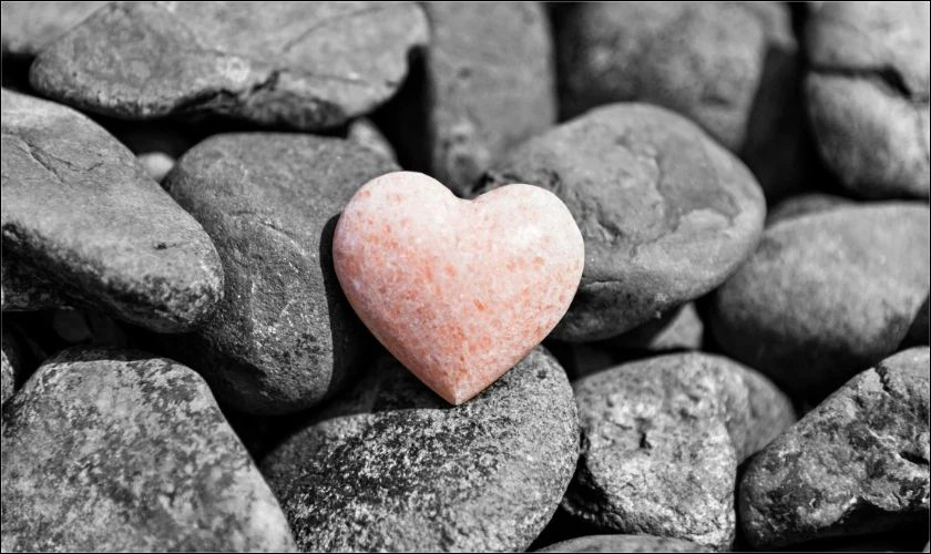 Hình ảnh Valentine tâm trạng nhất với cảnh một mình