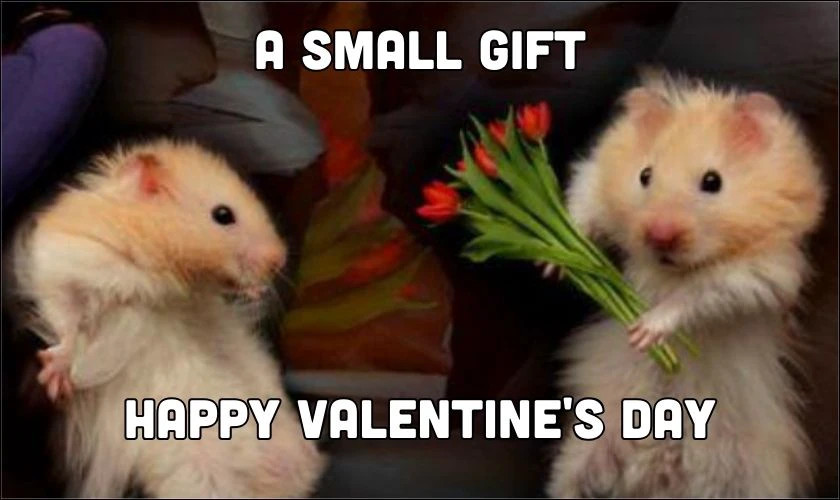 Hình ảnh Valentine vui nhộn với các nhân vật hoạt hình