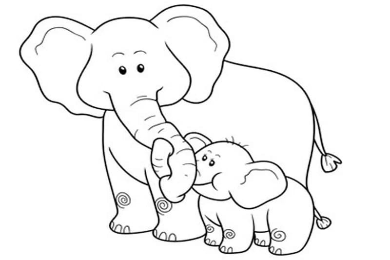 Hình ảnh voi trưởng thành với các chi tiết để tô màu