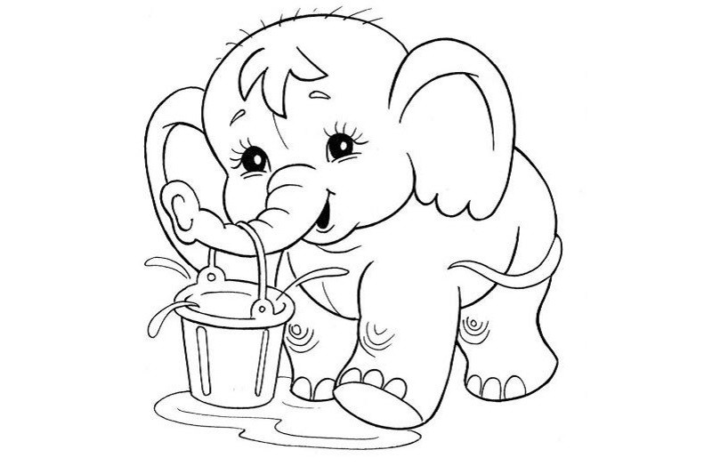 Hình ảnh voi và bướm, một chủ đề tô màu đáng yêu