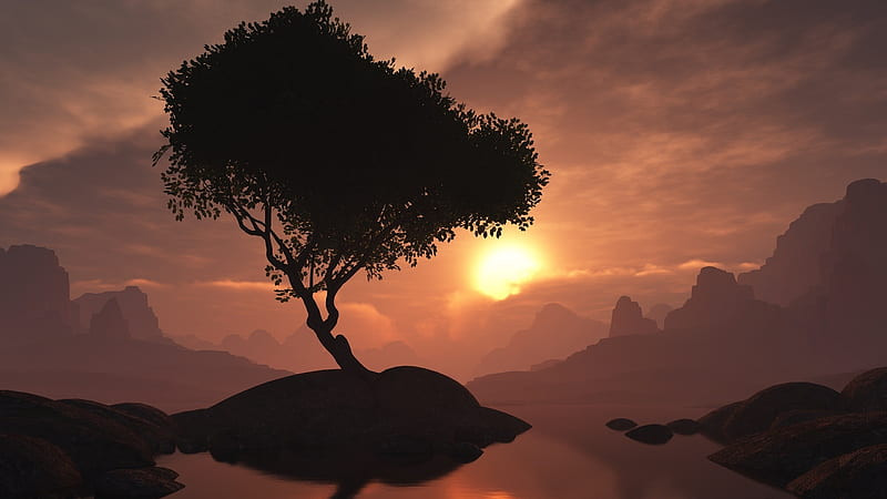 Hình bóng cây khô trên nền bầu trời hoàng hôn rực cháy