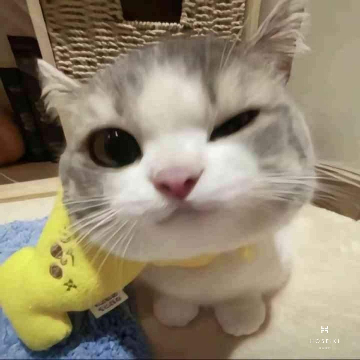 Hình mèo đáng yêu đang nằm dài, thư giãn