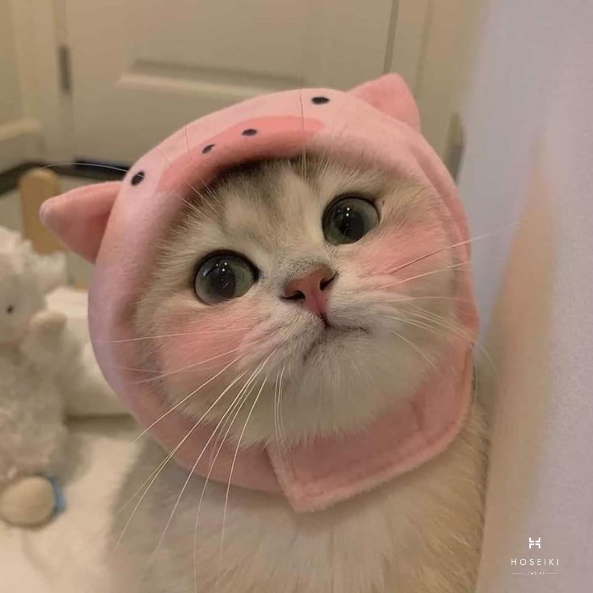 Hình mèo đáng yêu nằm ngủ cuộn tròn trên thảm, chỉ lộ chiếc mũi hồng