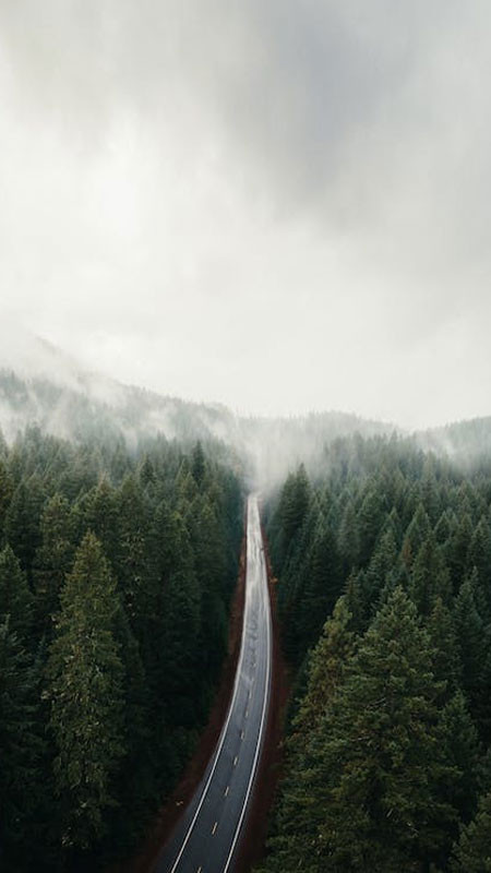 Hình nền 8K thác nước hùng vĩ giữa rừng