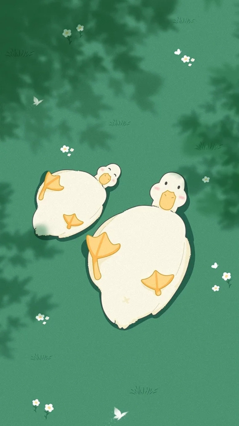 Hình nền con vịt hoạt hình trên hồ nước