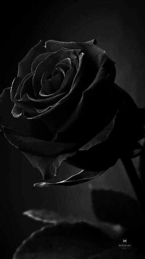 Hình nền đen buồn biểu đạt những nỗi niềm khó bày tỏ