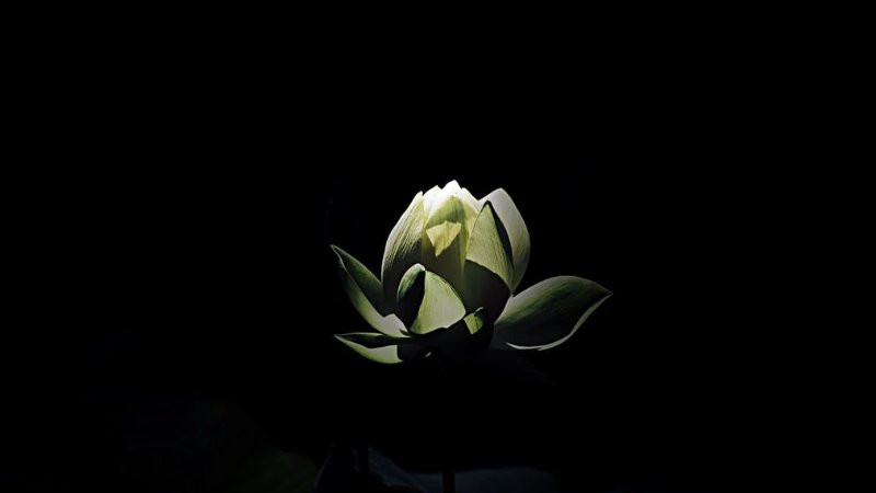 Hình nền đen có hiệu ứng ánh sáng mờ