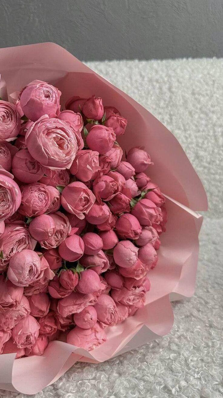 Hình nền hoa mẫu đơn trắng và hồng trên cành