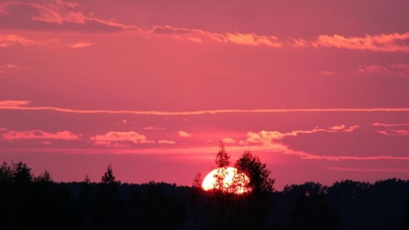 Hình nền hoàng hôn màu hồng ấn tượng trên biển