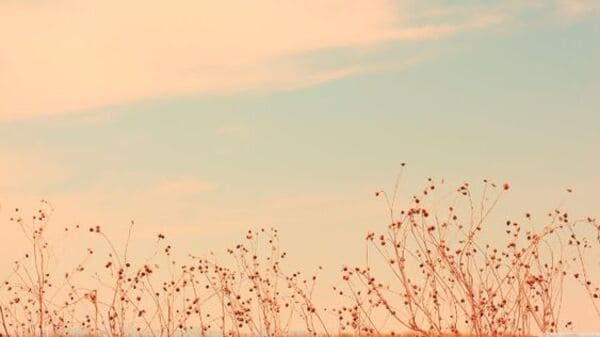 Hình nền laptop vintage