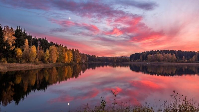 Hình nền màu hồng của bầu trời buổi sớm