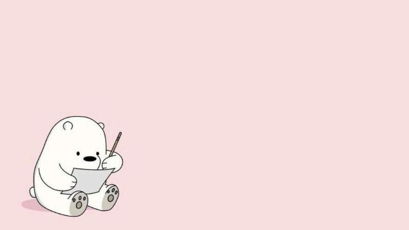 Hình nền màu hồng về chú gấu đang học bài
