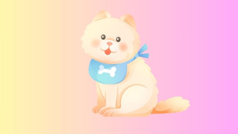 Hình nền màu hồng với gấu bông mềm mại