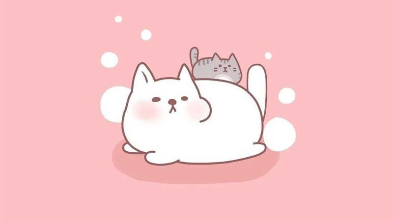 Hình nền màu hồng với mèo con đáng yêu