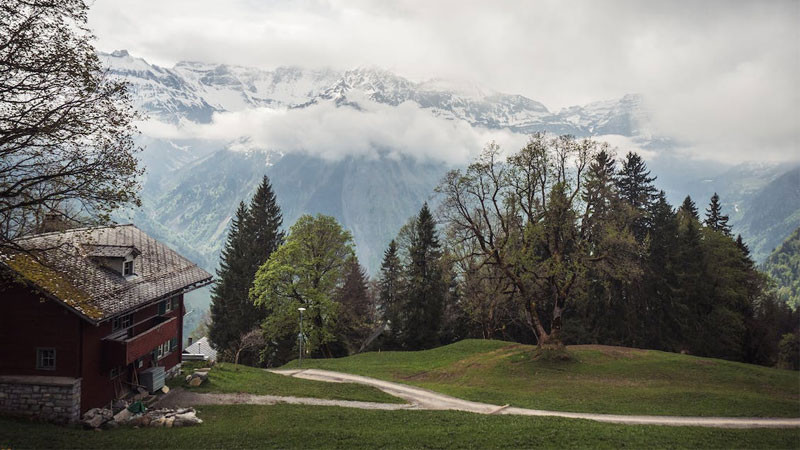 Hình nền phong cảnh bình yên đồng lúa