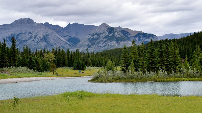 Hình nền phong cảnh rừng lá vàng mùa thu