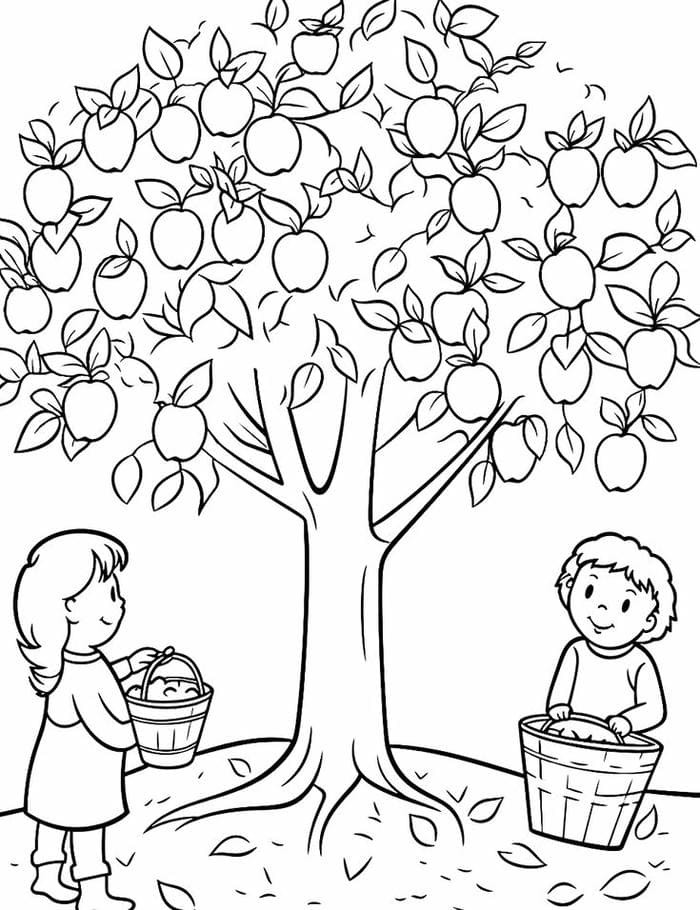 hình tô màu bé đang vui vẻ hái những quả táo trên cây