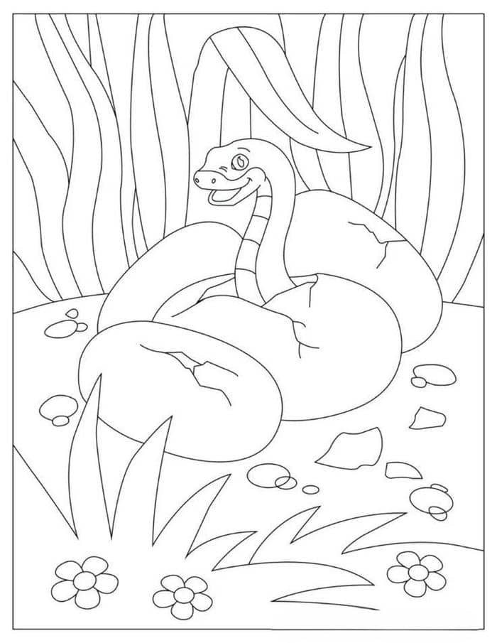 Hình tô màu rắn con dễ thương đang bò