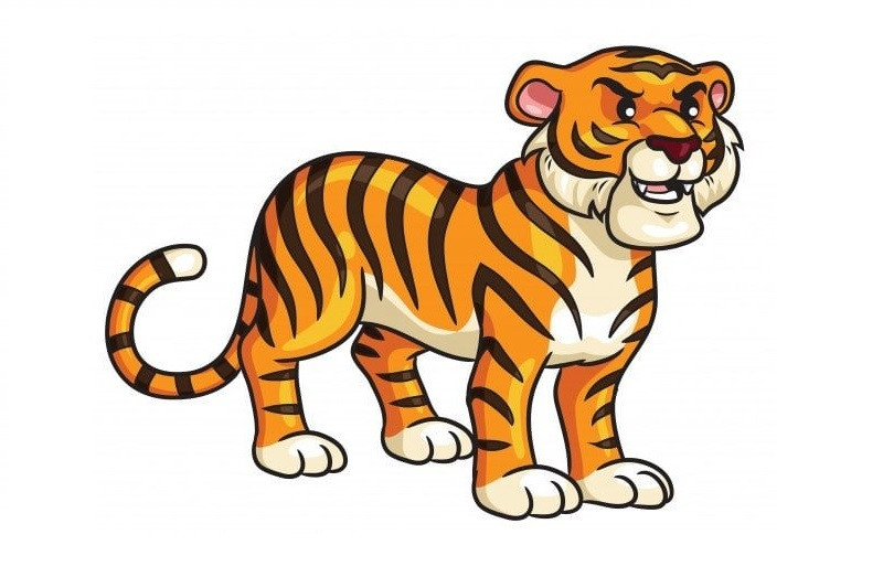 Hổ con với vẻ ngoài hiếu động và đáng yêu